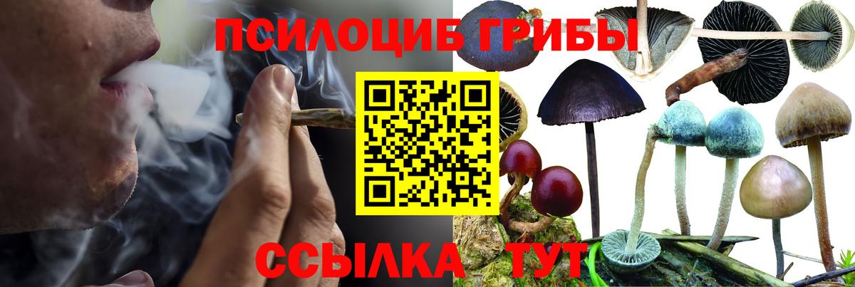Псилоцибиновые грибы MAGIC MUSHROOMS  Псилоцибиновые грибы ЛСД  Алексин  Вход с VPN 